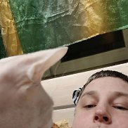 ������, 38 ���, ���������