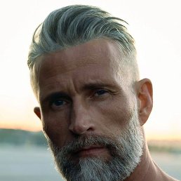 ��������, �����, 55 ���