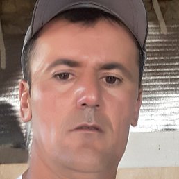 �����, ������, 43 ����