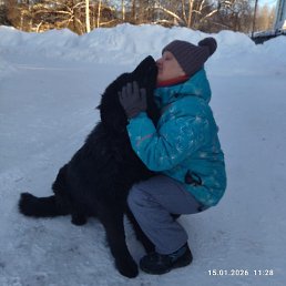 ������, �����������, 61 ���