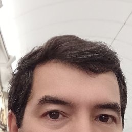 �����, �����-���������, 45 ���