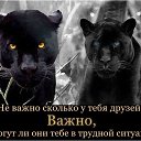 ���� �������, ����������� ����, 62 ���� - ��������� 25 ������ 2025 � ������ ������ ��������