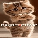 ���� ����, ������, 48 ��� - ��������� 2 ������ 2026 � ������ ���� ����������