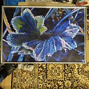 ���� ��������, �����, 40 ��� - ��������� 22 ������� 2025