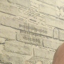 ������, ����, 54 ����