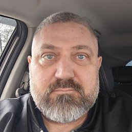 ������, ��������, 46 ���