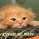 ���� ���, ����, 51 ��� - ��������� 17 ����� 2026 � ������ ���� ����������