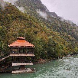 �����, �������, 54 ����