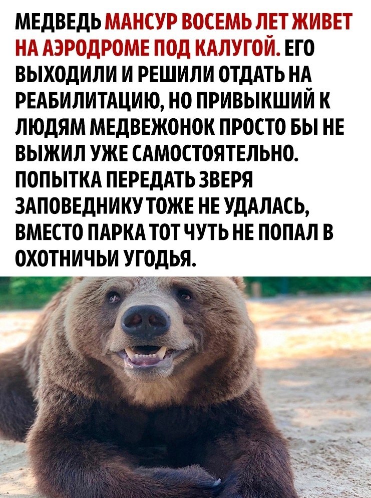      - 2