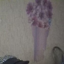 Alexandra, �����, 41 ���