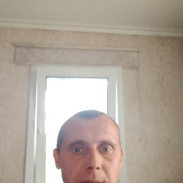 , 43, 