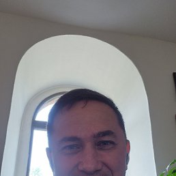 , 37, 