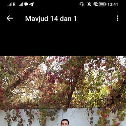 , 41, 