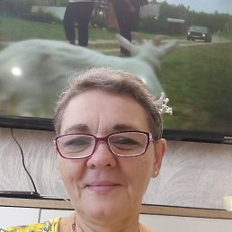  , 56, 