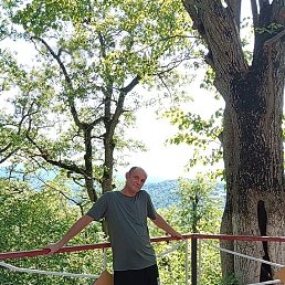 �������, 41 ���, ���������