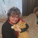 ���� �����, ������ ��������, 53 ���� - ��������� 17 ������ 2023