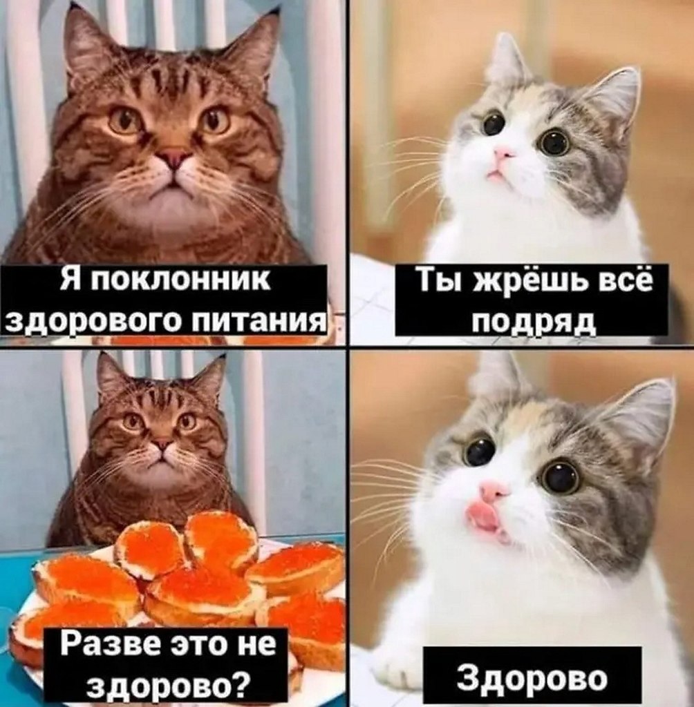 ☆������ �����☆ - 7 ���� 2025 � 04:14