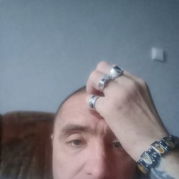 �����, 41 ���, �����������