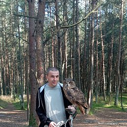 Александр, 41 год, Мурманск Александр, 41 год, Мурманск
