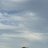 ���� �����, �������, 49 ��� - ��������� 24 ���� 2026