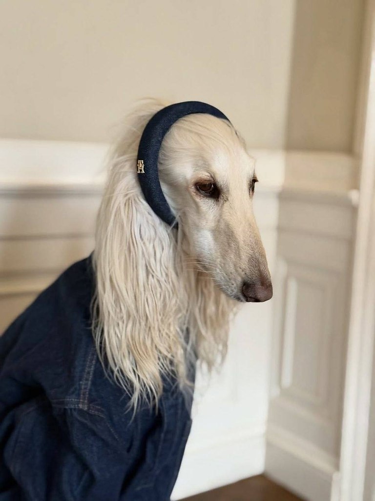  ,            .  ... - 9