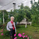 ���� Snow White, ���������, 52 ���� - ��������� 31 ��� 2026 � ������ ���� ����������