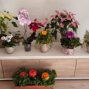 ���� ����, �����, 78 ��� - ��������� 11 ������ 2025 � ������ ��������� � �������� ������� 2024�