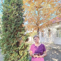  , 56, 