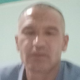 ��������, ������, 46 ���