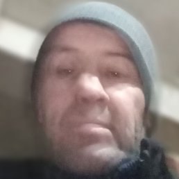 ����, �������, 44 ����