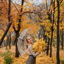 ���� �����, ������, 39 ��� - ��������� 2 �������� 2025 � ������ ���� ����������