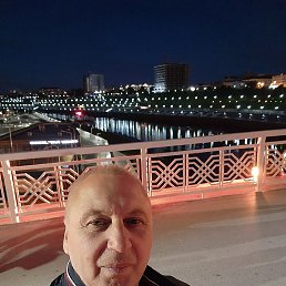 , 61, 