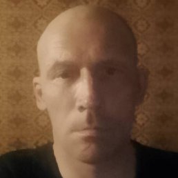 ������, ������, 41 ���