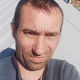 ��������� ������, �����-���������, 39 ���