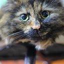 ���� �������, ������� - ��������� 15 ������ 2025 � ������ ������ ��������