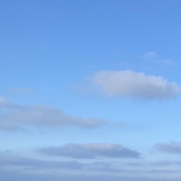 ���, �����-���������, 44 ����