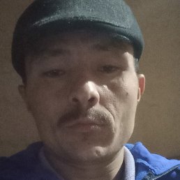 Zohid, �����, 29 ���