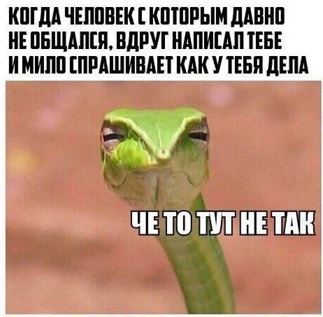 ? ,  ! - 22  2024  00:48