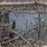 �������, 51 ���, �����������