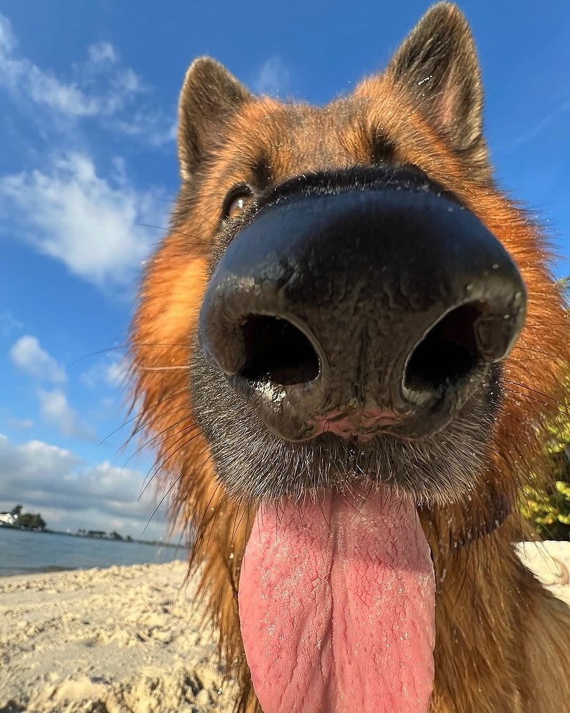 ��� ��� ������� ���� �� �����