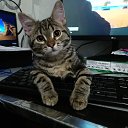 ���� ��������, ������, 47 ��� - ��������� 10 ����� 2026 � ������ ���� ����������