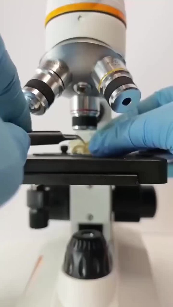 e �p� �o�op�� ��o �a� ��co ec��! ����� ������� - 2