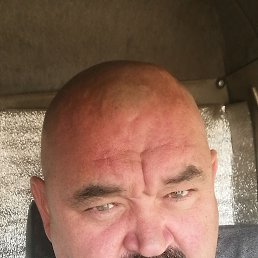 ����, 46 ���, �������