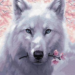 �����, ������, 43 ����