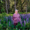 ���� ������, ����������, 75 ��� - ��������� 4 ���� 2025 � ������ ������ ��������