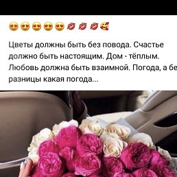 ���� ���, ������, 45 ��� - ��������� 26 ��� 2026