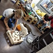 �������, 64 ����, ������