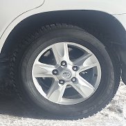 ������, 65 ���, ����