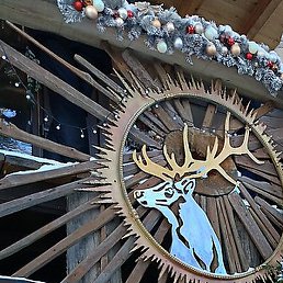 �����, ������, 55 ���