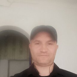 , 41, 